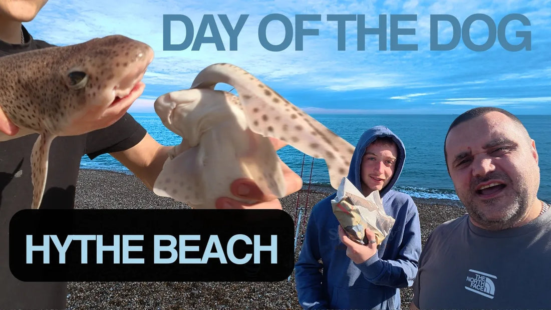Dogfish Dominate Our Hythe Beach Fishing Trip
