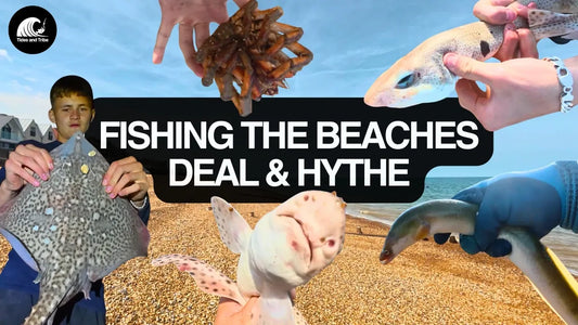 Dogfish Daddy Strikes Again – Fishing Session at Deal & Hythe