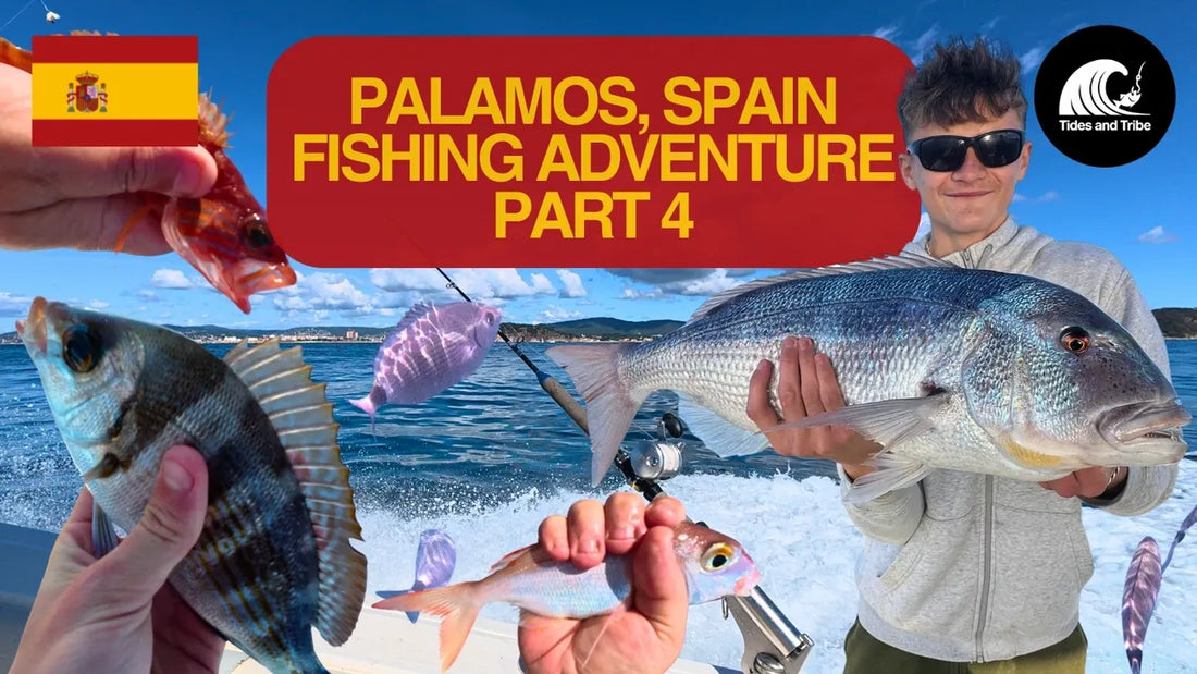 Connor Lands A Huge Dentex – Palamos Fishing Part 4