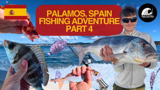 Connor Lands A Huge Dentex – Palamos Fishing Part 4