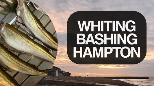Hampton  Beach Fishing 27th October 2025