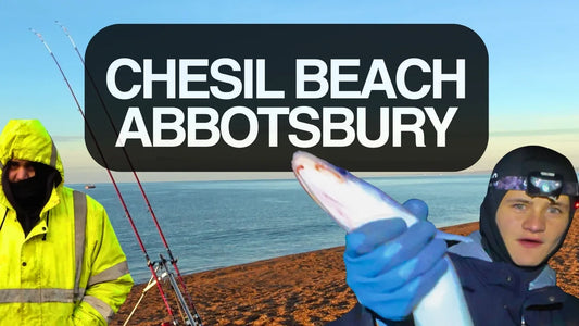 Tides & Tribe Take on Abbotsbury: Beach of broken dreams
