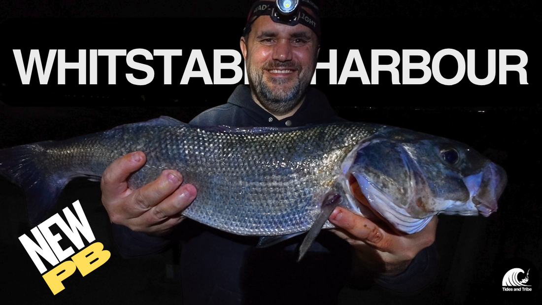 Whitstable Harbour Bass Fishing – A 62cm PB and a Cracking Session
