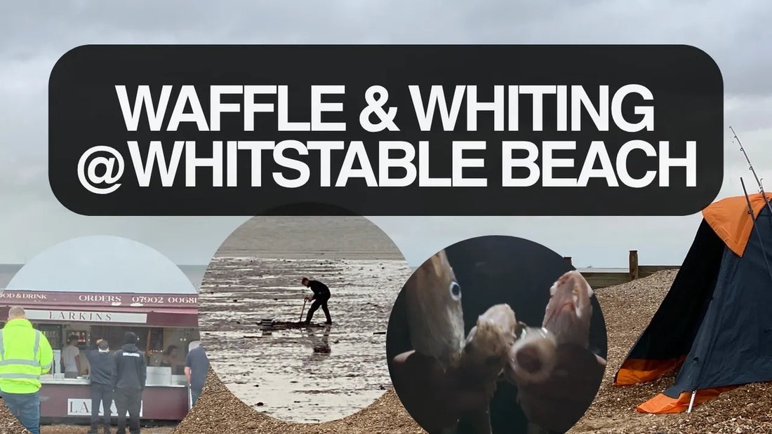 Waffle and Whiting at Whitstable Beach