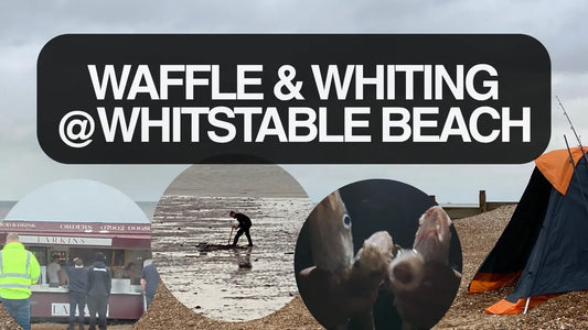 Waffle and Whiting at Whitstable Beach