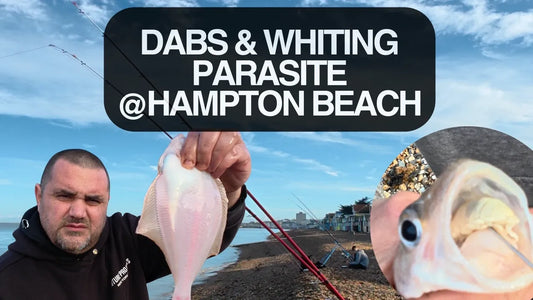 Flatfish, Whiting, Parasite, Frozen Bait & a Subscriber