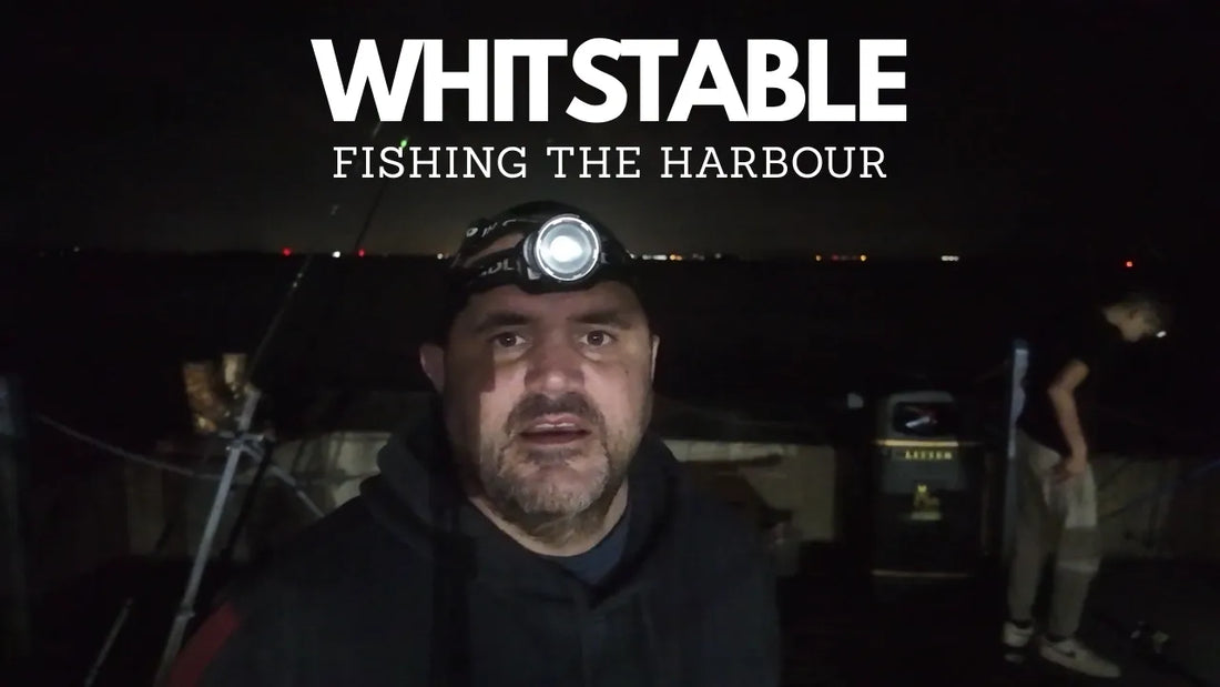 Whitstable | Fishing The Harbour 24th August 2025