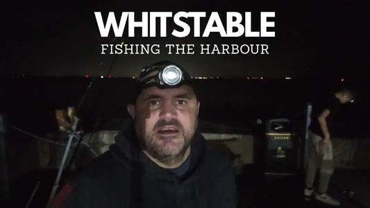 Whitstable | Fishing The Harbour 24th August 2025