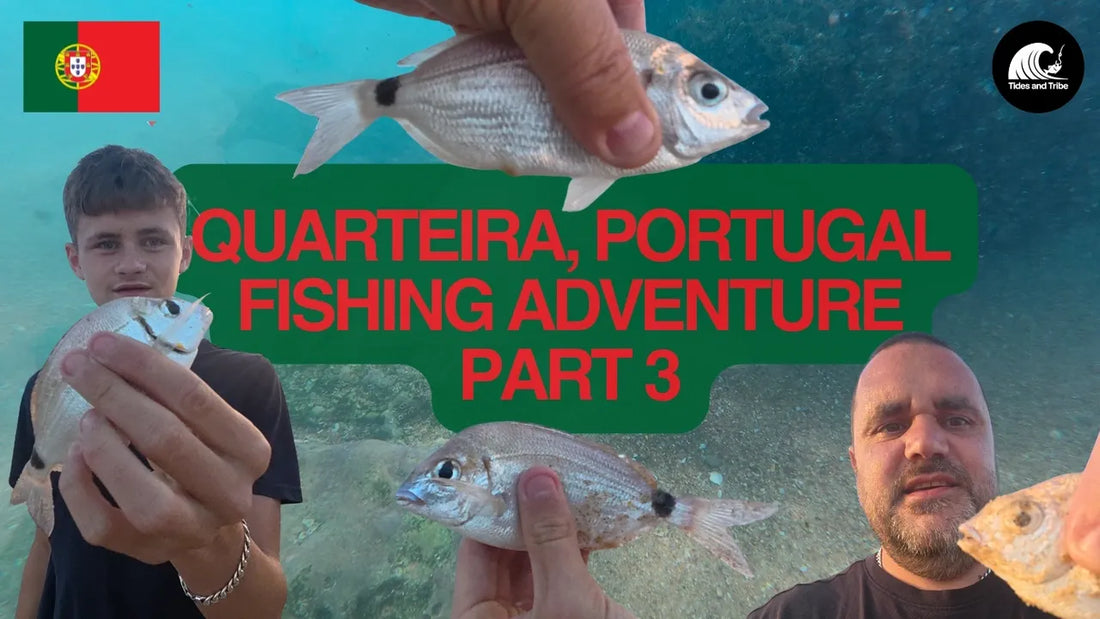 Portugal Fishing Part 3 – Non-Stop Saddled Bream at Gaivota