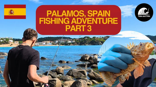 Scorpion Fish & Hospital, fishing Palamos | Part 3