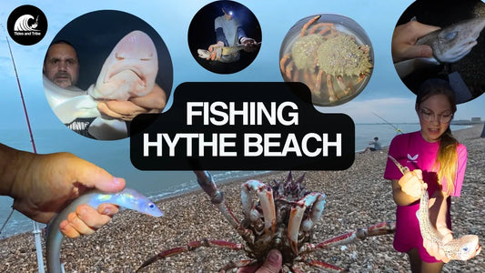 Hythe Beach After Spain – And Connor Becomes new Daddy Dog