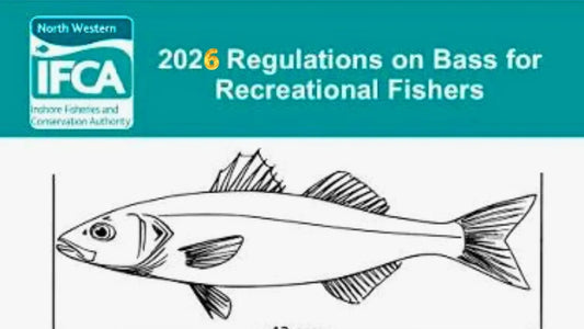 UK Bass Fishing Update — Season Currently Closed (1 Feb 2026)