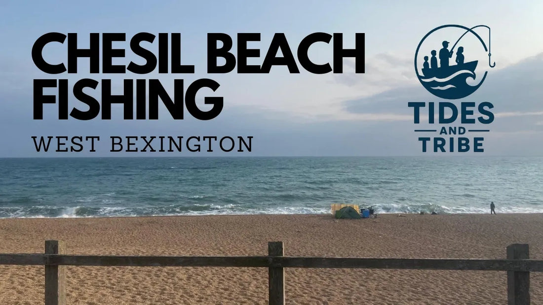 Chesil Beach | Part 1 – Fishing at West Bexington 8th June 2025