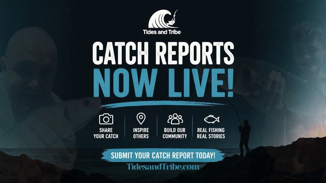 Tides & Tribe Catch Reports Are Now Live!