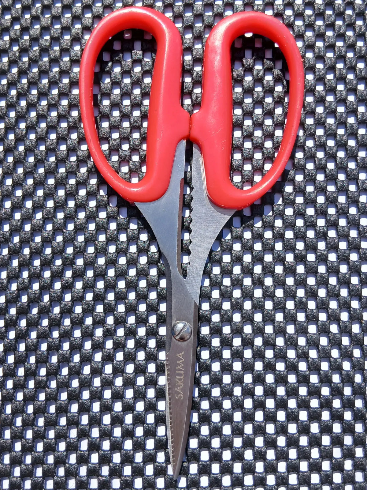 Sakuma Bait Scissors