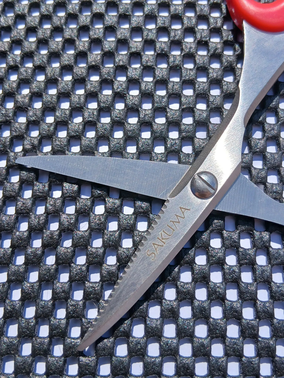 Sakuma Bait Scissors